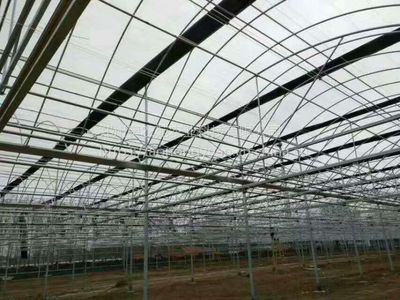 連棟薄膜溫室大棚/提供連棟薄膜溫室大棚設(shè)計(jì)、安裝