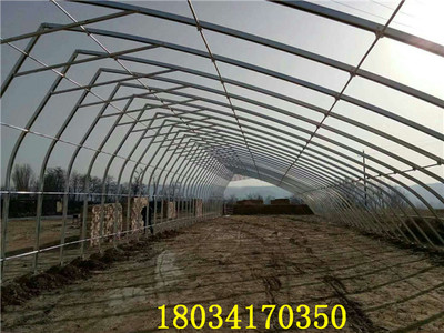 溫室大棚幾字鋼鋼骨架建的大棚收益高