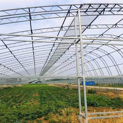 設(shè)計(jì)方案大棚管廠一站式服務(wù)