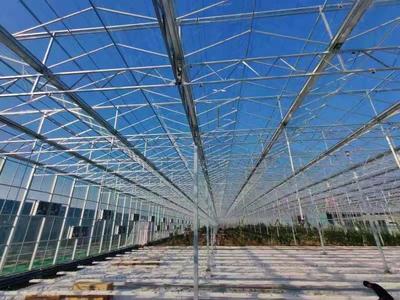 連棟薄膜溫室大棚建造商 鑫秾溫室 紋絡溫室設計