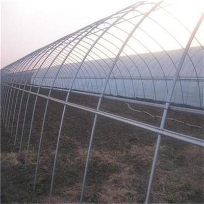 主營(yíng)產(chǎn)品:連棟大棚,溫室大棚,養(yǎng)殖大棚