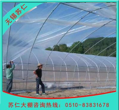 【專業大棚廠家 直銷蔬菜大棚 單體溫室大棚 大棚鋼架 熱浸鋅管】價格_廠家_圖片 -