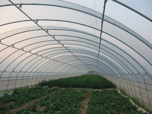 貴陽簡(jiǎn)易溫室大棚-海商網(wǎng),其他建筑和裝飾材料產(chǎn)品庫