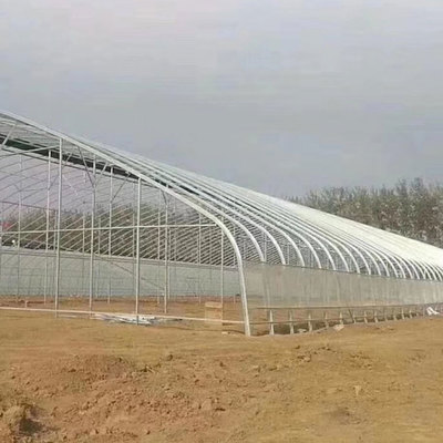 日光溫室大棚骨架 鋼結(jié)構(gòu)橢圓管溫室大棚 冬暖式日光溫室蔬菜大棚