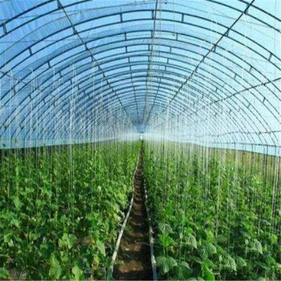 主營產品:玻璃溫室 溫室大棚 連棟薄膜溫室