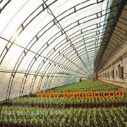 安徽塑料溫室 安徽塑料溫室廠哪家好 ,安徽塑料溫室 安徽塑料溫室廠哪家好 生產(chǎn)廠家,安徽塑料溫室 安徽塑料溫室廠哪家好 艾景園值得信賴