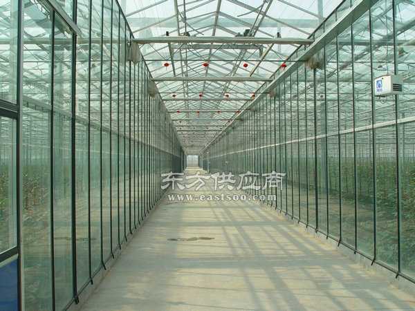 智能大棚溫室大棚生態(tài)大棚圖片