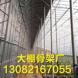 文山徐州大棚骨架廠 溫室連棟大棚價(jià)格