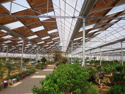 育苗溫室大棚骨架生產(chǎn)廠家