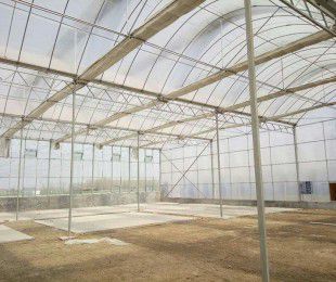 【智能溫室大棚報價-漢威溫室-淄博智能溫室大棚圖片】智能溫室大棚報價-漢威溫室-淄博智能溫室大棚圖片大全