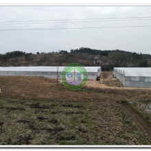 2018溫室大棚價格 報價 溫室大棚批發 第2頁 農機網