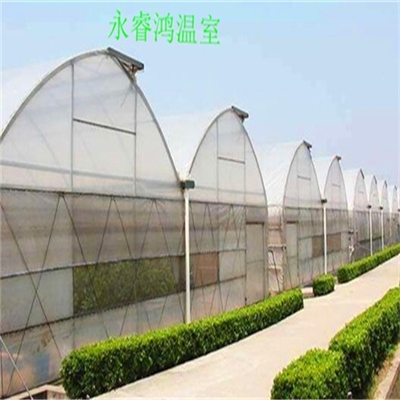 西藏玻璃溫室大棚聯系電話