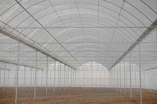 溫室大棚工程建造常用的覆蓋材料有哪些?