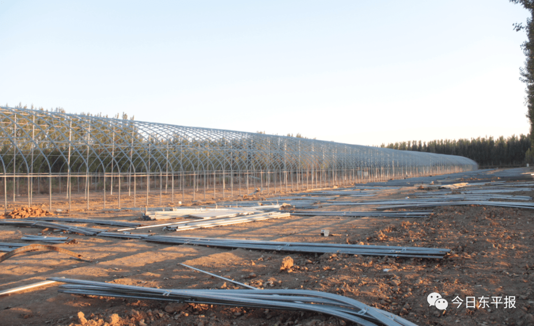 【新型溫室大棚魚菜共生 工廠化循環種植蔬菜養殖水產品】北京新型溫