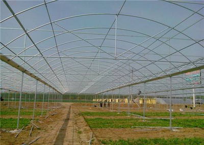 保山養殖大棚價格 值得信賴 云南姚前達溫室大棚工程