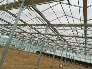 高質量連棟溫室大棚骨架的辨別方法技巧