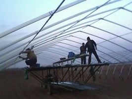 新型無支柱矩形管大棚骨架廠家,無柱支大棚價格,安陽概念大棚生產廠家產品圖片高清大圖