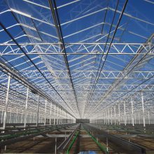 【東北溫室大棚 鑫澤溫室 東北溫室大棚廠家 玻璃溫室大棚生產安裝圖片】東北溫室大棚 鑫澤溫室 東北溫室大棚廠家 玻璃溫室大棚生產安裝