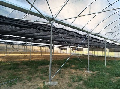 建設溫室大棚(圖)-溫室大棚骨架-溫室大棚