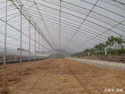 第五代溫室大棚設計方案以及建設造價