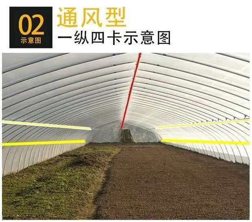 遷安大棚廠家連棟大棚 溫室大棚需要多少錢