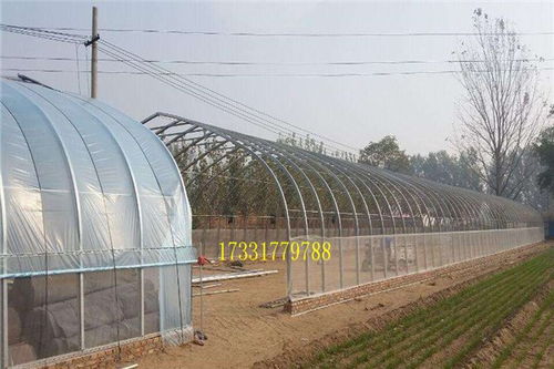鳳縣溫室大棚鋼架成本