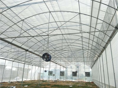 連棟溫室大棚-大棚價格(在線咨詢)-平果溫室大棚