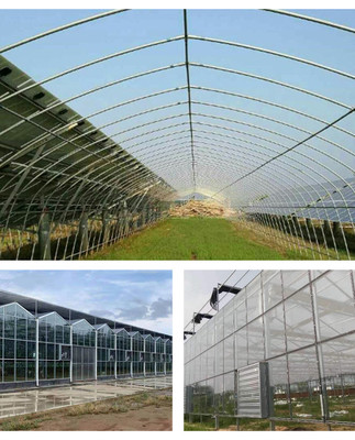 溫室鋼管大棚,錦鯉養殖溫室