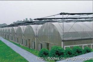 福建金線蓮溫室大棚_農副產品_世界工廠網