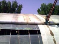 供應山東溫室大棚廠家 溫室大棚生產廠家-歐富達溫室園藝_農副產品_世界工廠網中國產品信息庫