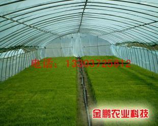 供應無支柱溫室黃瓜大棚骨架大棚支架機鍍塑鋼管蔬菜大棚骨架_機械及行業設備_世界工廠網中國產品信息庫