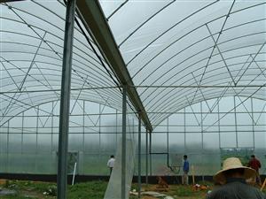 上海源農溫室設備銷售、聯系電話:13916408566{李先生},單體溫室大棚,連棟溫室大棚,花卉溫室大棚,蔬菜溫室大棚,玻璃溫室大棚產品信息|中國農業網