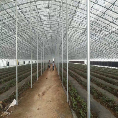 產品報價 連棟薄膜溫室 薄膜溫室大棚 服務熱線