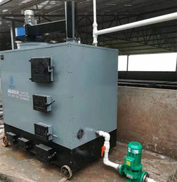 燃煤養殖鍋爐廠家圖片大全