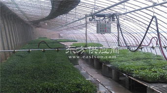 溫室軌道式移動噴灌機的產品用途及發展趨勢