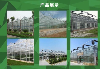 蔬菜花卉溫室大棚工程生產安裝 青州盛鴻