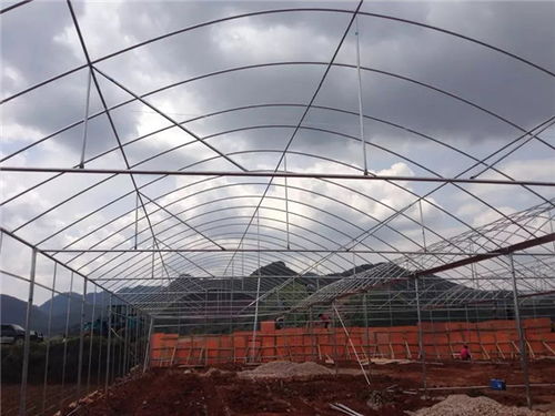 鋼結構溫室大棚多少錢 鋼結構溫室大棚 宏績溫室大棚工程造價