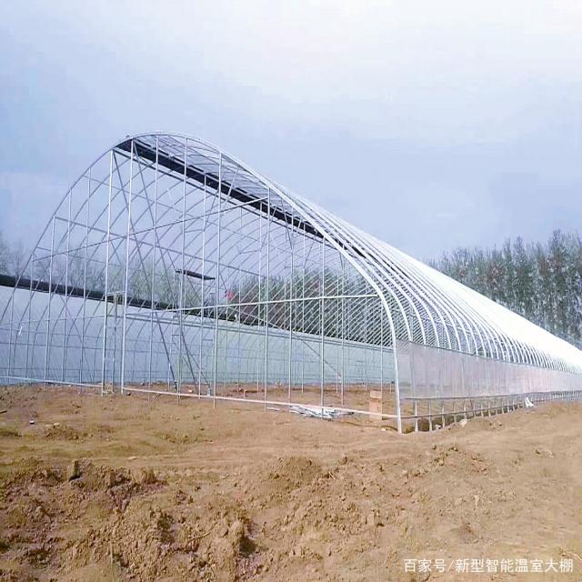 鋼結構日光單體拱棚