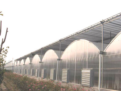 生態(tài)餐廳溫室-生態(tài)餐廳廠家-生態(tài)餐廳溫室報價