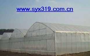 供應syx319三農溫室大棚配套產品_農副產品_世界工廠網中國產品信息庫