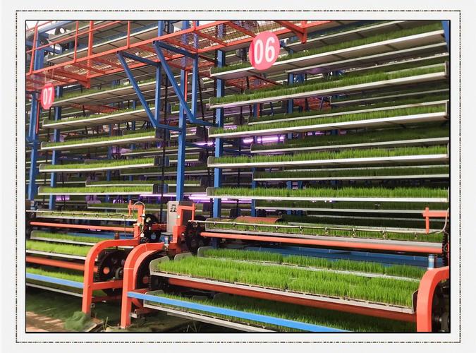 溫室大棚育苗的智能革命