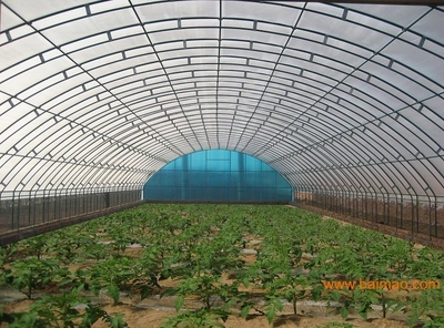 溫室大棚-蔬菜大棚-養(yǎng)殖大棚-連棟大棚-玻璃棚-立泰溫室為您服務(wù)