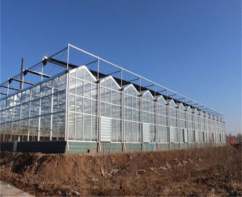 溫室大棚今日報價 溫室大棚 捷農(nóng)溫室工程在線咨詢