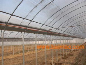 權威的空氣墻體日光溫室設計建設專家企業 壽光建發,權威的空氣墻體日光溫室設計建設專家企業 壽光建發生產廠家,權威的空氣墻體日光溫室設計建設專家企業 壽光建發價格