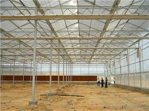 精品推薦 天津市靜海區(qū)富農(nóng)溫室大棚制造廠
