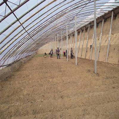 日光蔬菜大棚 花卉種植大棚 溫室大棚廠家