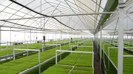 漫談|“億元村”是如何做到的?這里有套路!