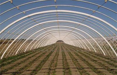 產品中心安陽市佳和農業服務