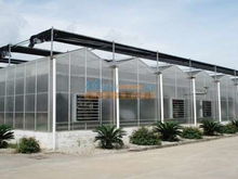 溫室大棚建設多少錢 哪里有提供稱心的花卉溫室大棚