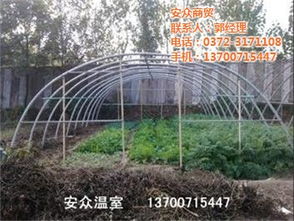 溫室大棚 安眾商貿 新疆地下溫室大棚高清圖片 高清大圖